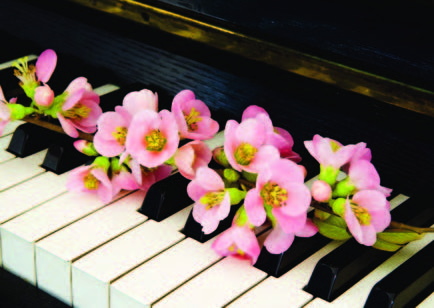 bloemen op piano